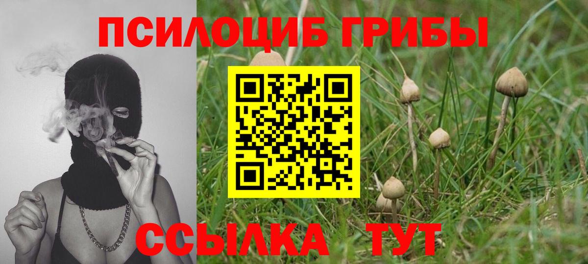 где найти наркотики  Вход с VPN  Ялта  Галлюциногенные грибы ЛСД 